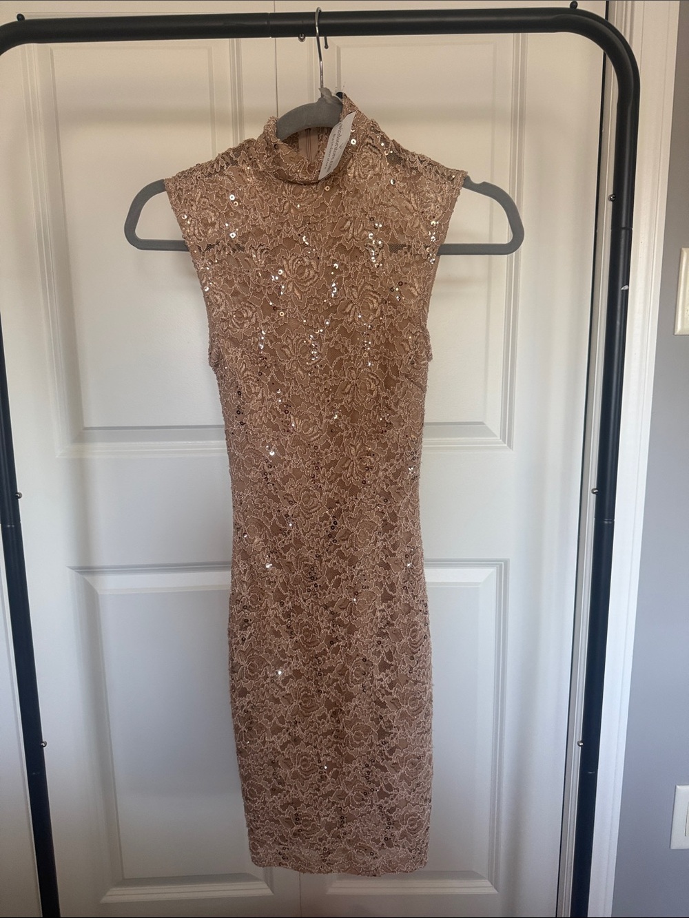 Windsor Sleeveless High-Neck Lace Sequin Dress in Blush